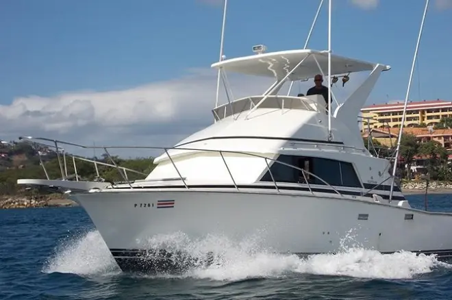 Sportfischen ab Flamingo Beach: Halbtägige Tour 4 Stunden Offshore