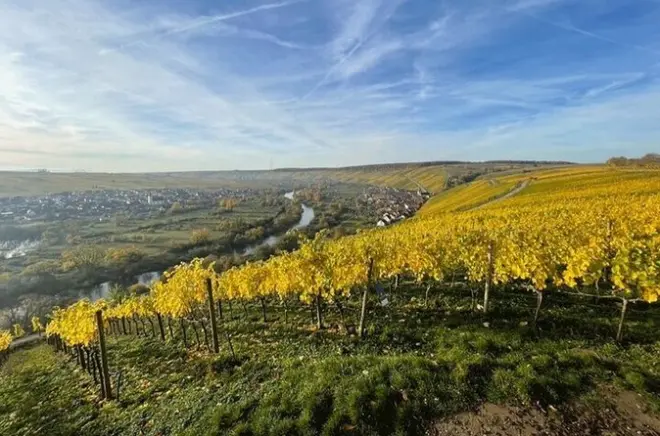 Volkach: Caminhada de 3-4h pelos vinhedos da Francônia