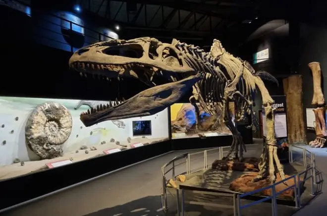 Valle Inferior del Chubut: Pueblos galeses, dinosaurios y delfines