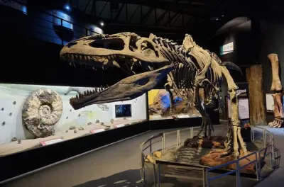 Valle Inferior del Chubut: Pueblos galeses, dinosaurios y delfines