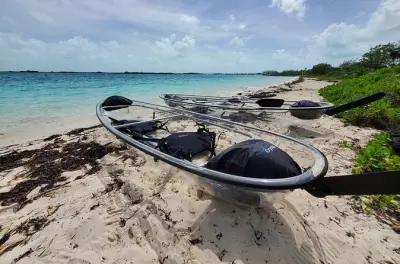 Clear Kayak Mangrove Eco Tour: Paddle Turks and Caicos