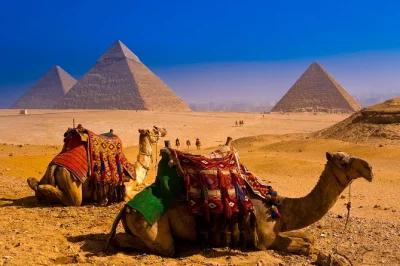 Découvrez la grande pyramide de gizeh, le sphinx et des points de vue panoramiques lors d’une visite guidée du caire. transport privé, guide égyptologue et prise en charge à l’hôtel inclus.