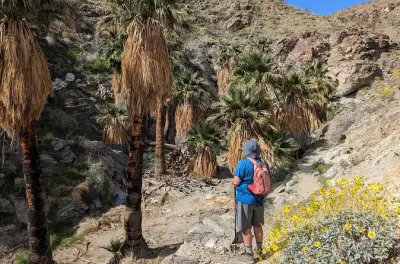 Randonnée à Palm Springs vers une oasis cachée et vues sur le désert