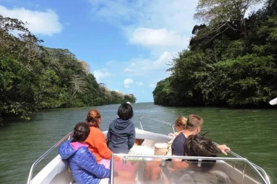 Spend a full day exploring ile aux cerfs by speed boat, snorkel in the lagoon, visit grse waterfall, and enjoy a private island lunch with drinks. book now with hotel pickup.