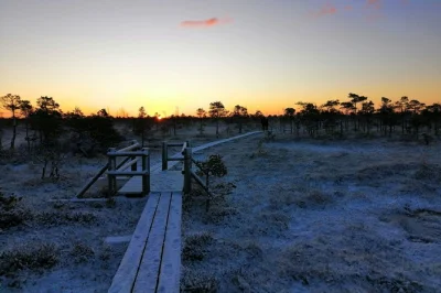 Watch sunrise over kemeri national park’s bog, stroll quiet trails, and visit jurmala’s seaside with a local guide. includes hotel pickup, coffee, and pastries. book now.