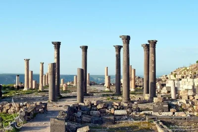 Discover jerash, ajloun castle, and umm qais on a private day trip from amman. explore roman ruins, medieval castles, and scenic views with local insight.