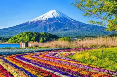 Tour privato del monte Fuji da Tokyo: 5ª stazione e lago Kawaguchi