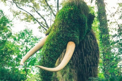 Découvrez atlanta à votre rythme avec une visite audio autonome. explorez le jardin botanique, le parc mlk jr., et bien plus. réservez maintenant pour un accès flexible.