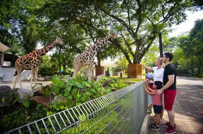 Tour animali Kuala Lumpur: 4 tappe in 6 ore