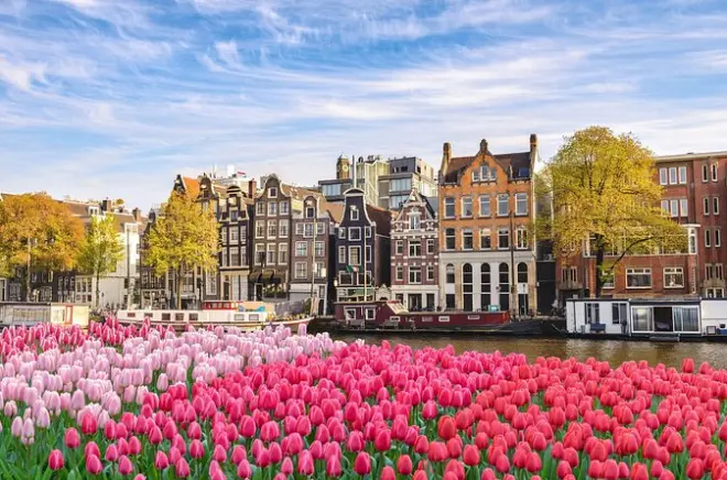 Rotterdam to Amsterdam Private Transfer: Door-to-Door Service