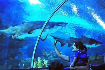 Tour por Kuala Lumpur com visita ao Aquaria KLCC e pontos turísticos