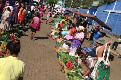 Ruta de las Flores tour: Coffee mill, market and villages