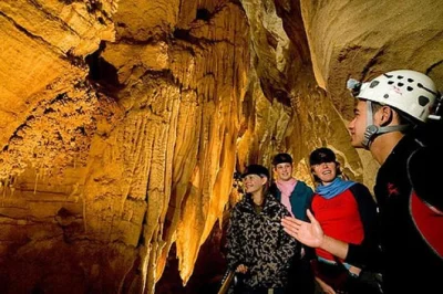 Trasferimento privato da auckland alle famose waitomo glowworm caves. ritiro in hotel, orari flessibili e paesaggi mozzafiato. ingresso non incluso. max 3 persone per prenotazione.
