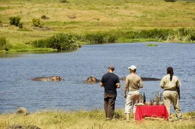 Safari privado 2 dias: Tarangire e Ngorongoro saindo de Arusha