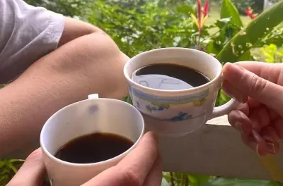 Kaffeefarm-Tour ab Port Antonio: Leben auf der Blue Mountains Farm