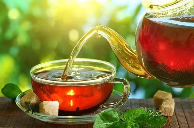 Plantação de Chá Ingiriya: Colheita e Visita à Fábrica