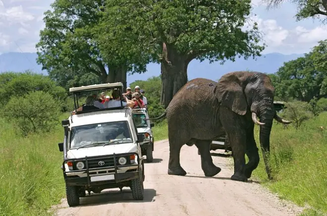 2-Day Amboseli Safari from Nairobi: Mount Kilimanjaro & Elephants