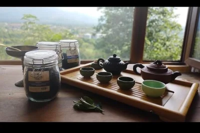 Step inside a 120-year-old tea house in ozurgeti, stroll through lush georgian tea gardens, and sample hand-picked teas with an expert. book now for a guided tasting.