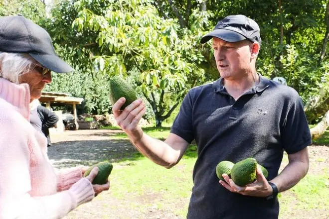 Bay of Plenty Foodie Tour: Kiwifruit, Avocado & Honey Tasting