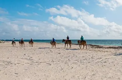 Snorkel en Flamingo: Paseo privado a caballo y tiempo en el agua