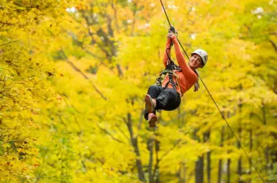 Parcours aériens et ponts suspendus dans la forêt de Copeland