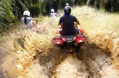 ATV & Ziplining from Flamingo Beach: 500-meter canopy cables