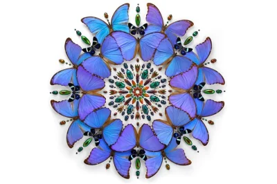 Descubre el exquisite creatures en portland: miles de insectos raros, arte vibrante y una experiencia ideal para toda la familia. entrada con impuestos incluidos.