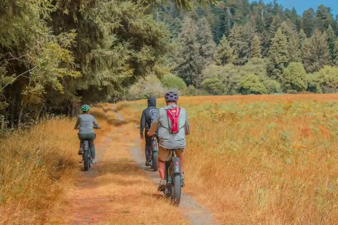 Bicicleta eléctrica en Redwood: Secuoyas y vida silvestre