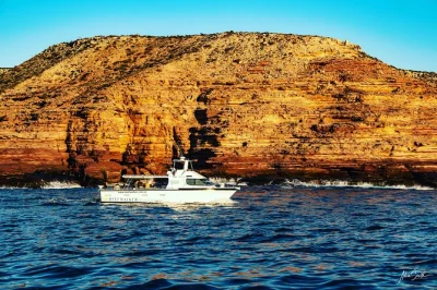 Disfruta del atardecer y la brisa marina en un crucero por kalbarri pasando red bluff, mushroom rock y eagle gorge—lleva tus bebidas y acompáñanos con la tripulación local.