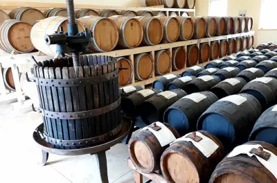 Balsamic Vinegar Tasting at Acetaia Angelo, Modena