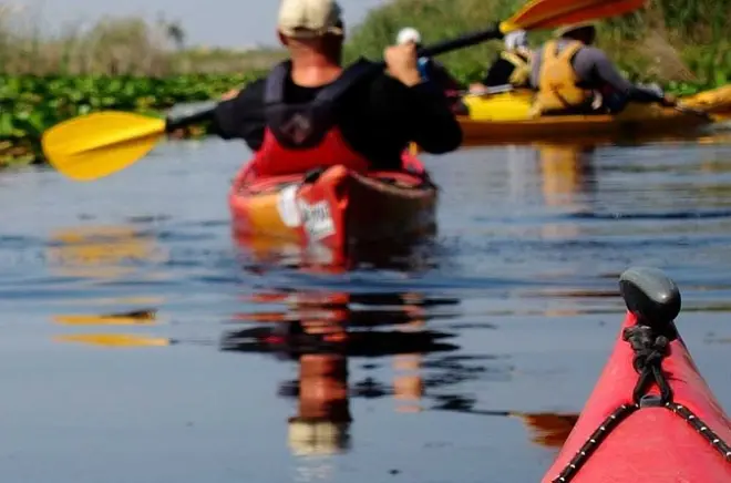 Tandem-Kajakverleih: Everglades Nationalpark bei Flamingo