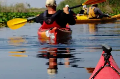 Tandem-Kajakverleih: Everglades Nationalpark bei Flamingo
