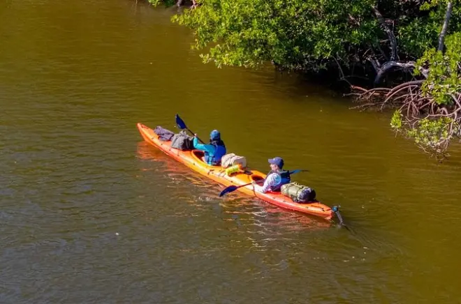 Kajakfahren im Everglades Nationalpark: Tandemvermietung