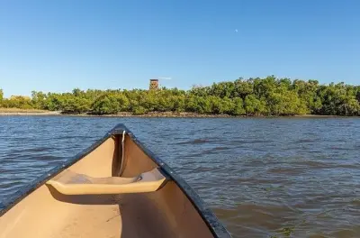Flamingo Everglades Kanutour: Paddeln Sie in Ihrem eigenen Tempo