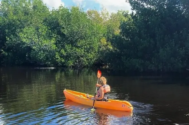 Kayak en Everglades National Park: Rema a tu propio ritmo
