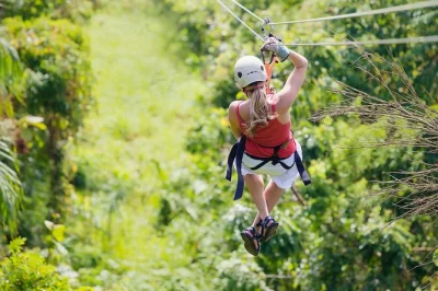 Soar above the rainforest on a zipline adventure, then cruise the tortuguero canals spotting monkeys and sloths. includes expert guide and pier pickup. book now.