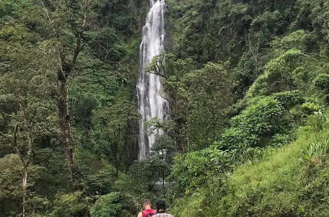 Cascadas de Materuni, café y aguas termales desde Moshi