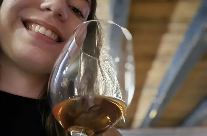 Dégustation de vins à Hvar dans la cave patrimoniale Konoba Bratanić