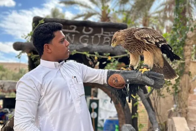 Siwa Oasis 3 dias: Lagos de sal, sítios antigos e deserto