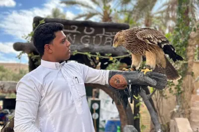 Siwa Oasis 3 jours : Lacs salés, sites anciens et désert