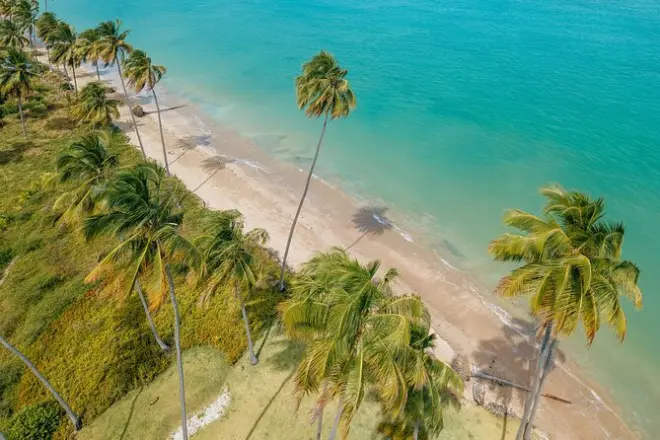 Patacho Beach Tour from Maceió: Natural Pools & Coral Reefs