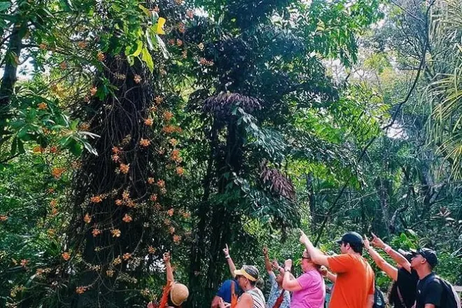 Jardines Carambola Roatán: Senderos en la selva y plantas exóticas