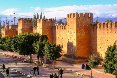 Discover taroudant’s lively souks, explore tiout’s palm grove, and enjoy a homemade berber lunch. book now for private transport and hotel pickup from agadir.