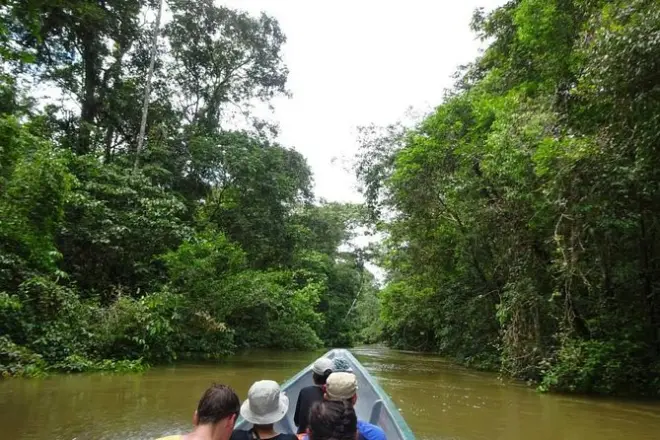 Selva Cuyabeno 4 días: Comunidad Siona y fauna salvaje