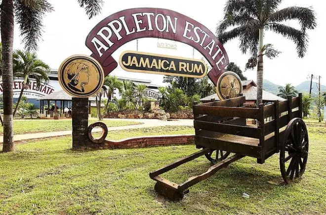 Appleton Estate Rum Tour ab Ocho Rios: 10 Verkostungen