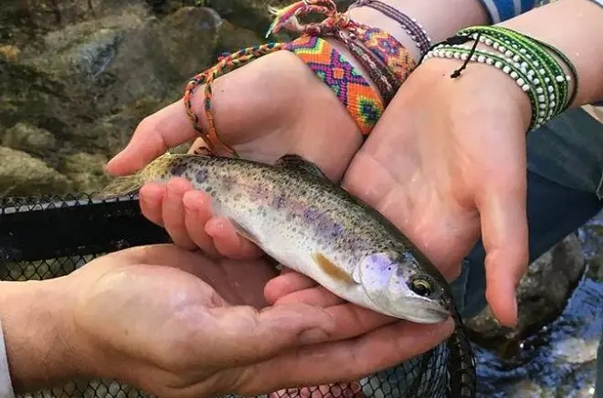 Fly Fishing Yosemite: Half-Day Private Adventure for Families