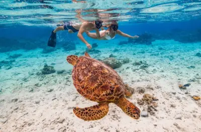 Tour privado en Rarotonga con esnórquel en la laguna a tu ritmo