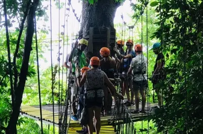 Ziplining in Roatán: Dschungel-Canopy mit Sanctuary Park