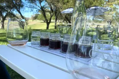 Private Central Coast Tour: Wine, Big Sur & Hearst Castle