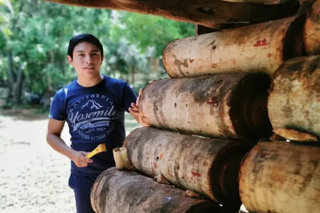 Melipona-Bienen-Erlebnis in Maní: Schutz und Bemalung